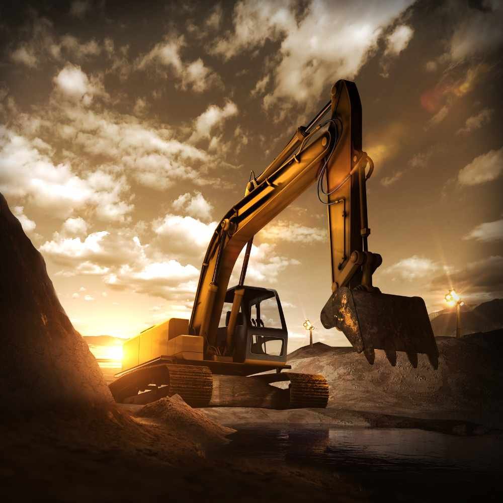 Construction Professional